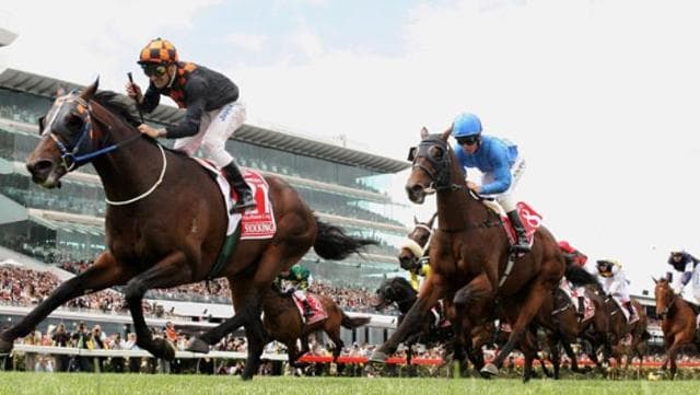 Kick Up for Kiwis backing the industry ahead of Melbourne Cup