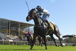 Promising Kiwi 2YO Sold to Australia