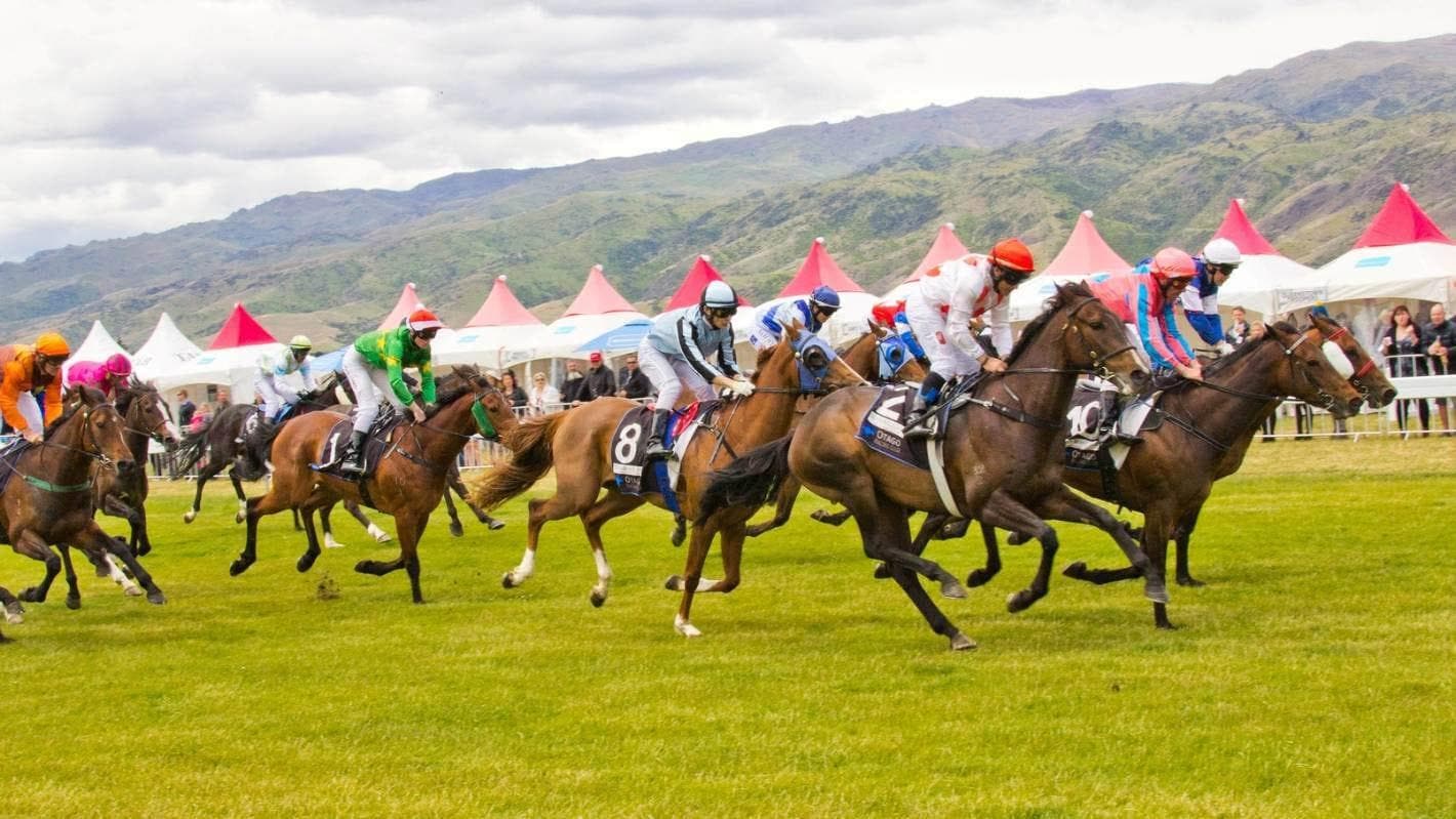 Picture of the author