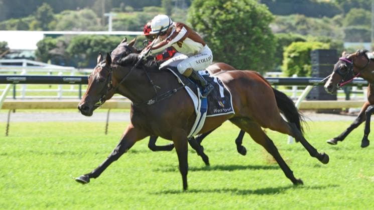 Picture of the author