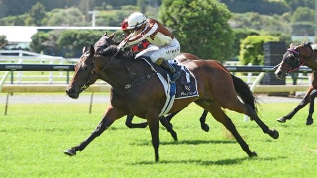 NZB Insurance Pearl Series Revamped by Entain & NZTR