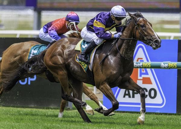 Inspire Racing Ex-Pat Carbonados Scores for Lindsay Park